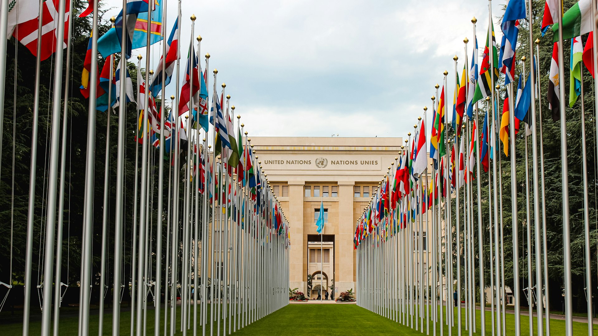 Performance analytics dashboard showing construction metrics